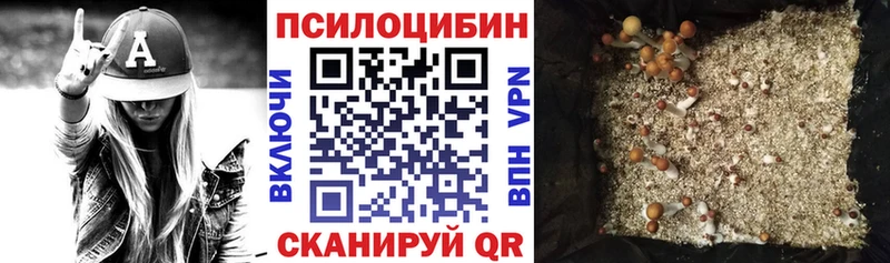 Купить закладки  Кинешма  Псилоцибиновые грибы мухоморы 